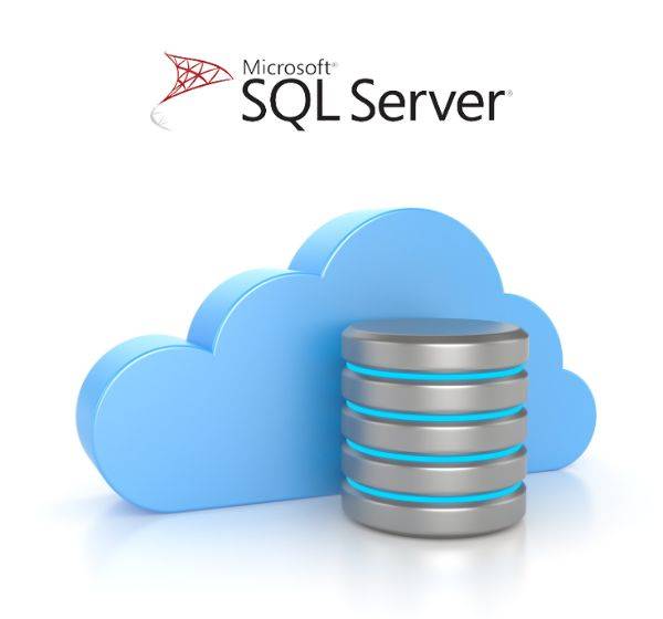 SQL Server Support Service
