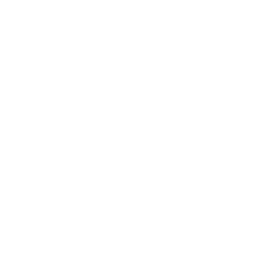 Smart Grid