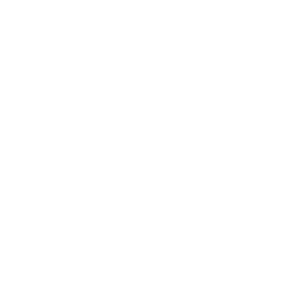 snowflake snowflake